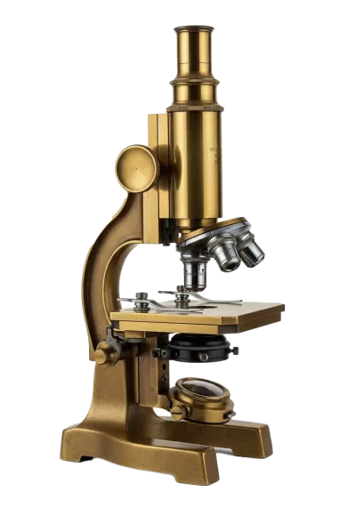 Imagen PNG para descargar